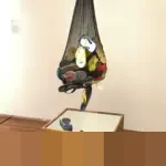 Jejak Kehati-hatian Konsumen Indonesia: Mobil Bensin Tetap Raja, Hybrid Jadi Pilihan Rasional