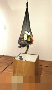 Jejak Snouck Hurgronje: Strategi Intelektual Belanda Memecah Belah Perlawanan Rakyat Aceh