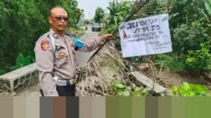 Jembatan Penghubung Antar Desa di Lamongan Ambles Diterjang Luapan Sungai, Akses Warga Terganggu