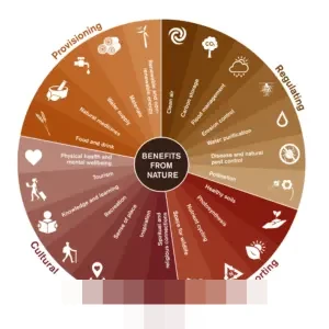 KAI Services Minta Maaf, Tempuh Jalur Damai Kasus Penyalahgunaan Data Penumpang