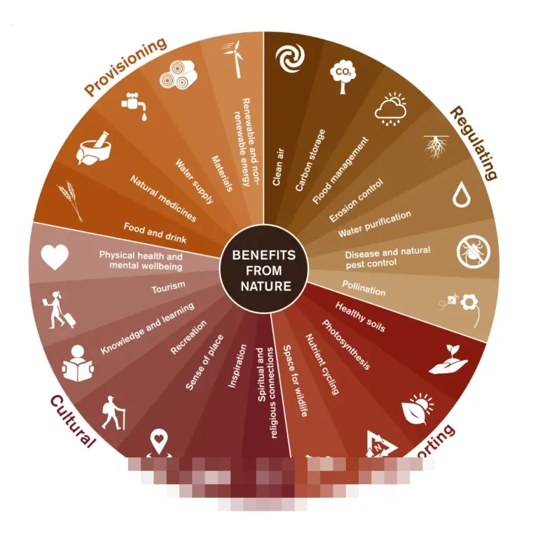 KAI Services Minta Maaf, Tempuh Jalur Damai Kasus Penyalahgunaan Data Penumpang