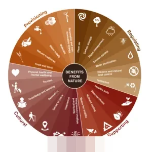 KAI Services Tindak Tegas Oknum Karyawan yang Akses Data Pribadi dan Hubungi Penumpang Secara Ilegal