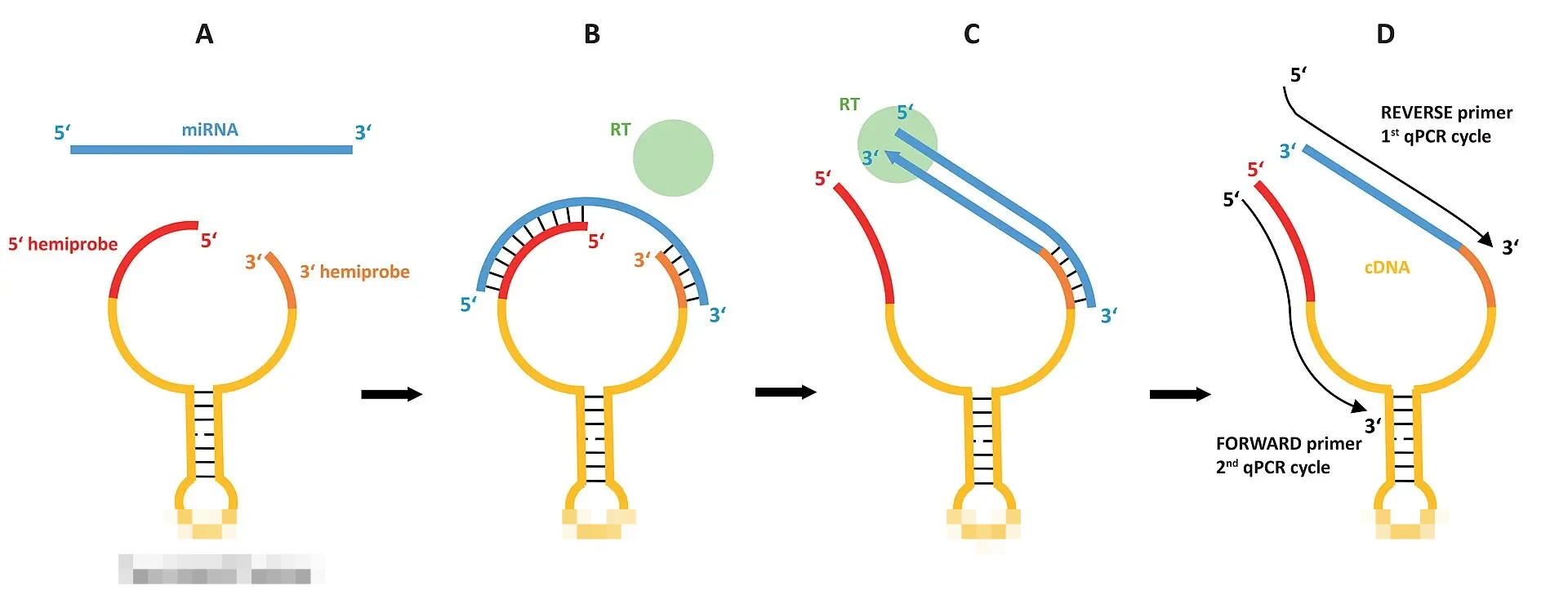 KAI Tindak Tegas Oknum Karyawan Penyalahguna Data Pribadi Penumpang, Perkuat Sistem Keamanan KAI Tindak Tegas Oknum Karyawan Penyalahguna Data Pribadi Penumpang, Perkuat Sistem Keamanan