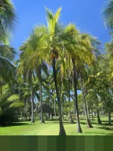 Kalapas Besi: “Litmas Instrumen Utama Nilai Perkembangan WBP Objektif dan Komprehensif”