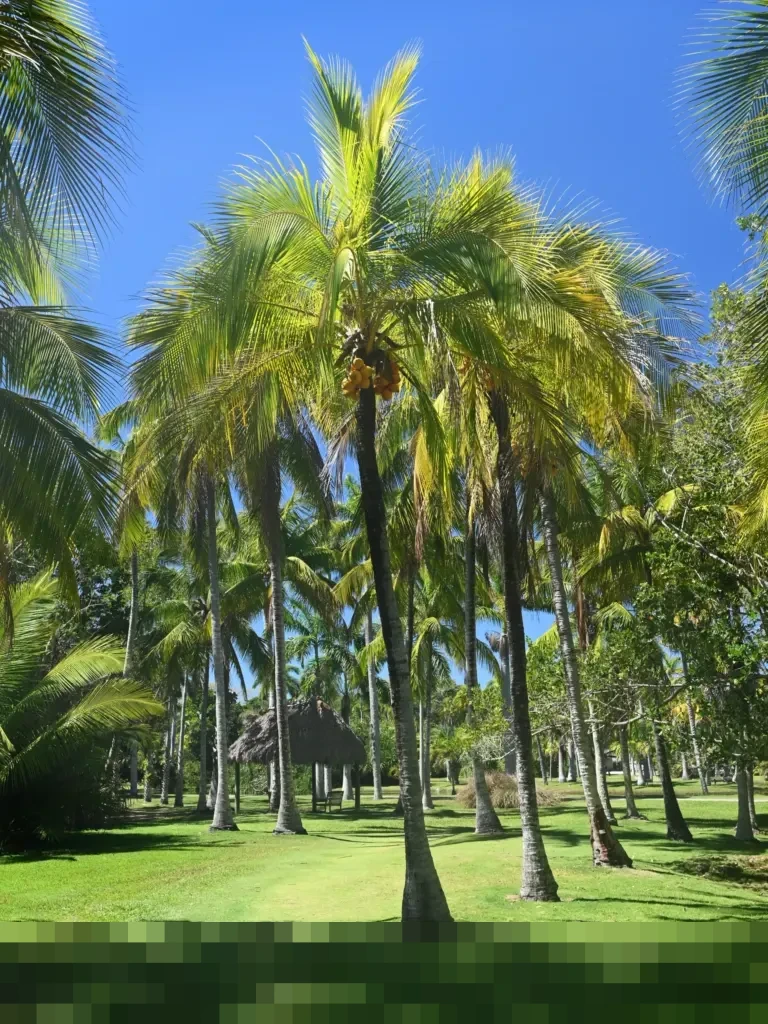 Kalapas Besi: “Litmas Instrumen Utama Nilai Perkembangan WBP Objektif dan Komprehensif”