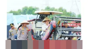 Kapolri dan Ketua Komisi IV DPR Pimpin Panen Raya Jagung Nasional, Tegaskan Komitmen Ketahanan Pangan Kapolri dan Ketua Komisi IV DPR Pimpin Panen Raya Jagung Nasional, Tegaskan Komitmen Ketahanan Pangan