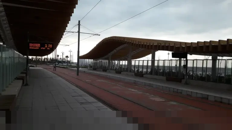 Karantina Badau Catat Ekspor Rp 1,1 Miliar di Awal 2026, Dorong Komoditas Unggulan Kapuas Hulu Bersaing Global