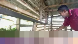 Kawanan Pencuri Gasak 11 Domba Warga di Bogor, Empat Ekor Ditemukan Tinggal Jeroan di Kandang