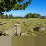 Kekuasaan Presiden dalam Sistem Presidensial Indonesia: Diatur Tegas UUD 1945