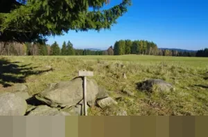 Kekuasaan Presiden dalam Sistem Presidensial Indonesia: Diatur Tegas UUD 1945