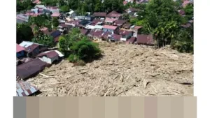 Kemenhut Catat Potensi Rehabilitasi Bencana Capai 49.197 Hektare, Terluas di Sumatera Utara