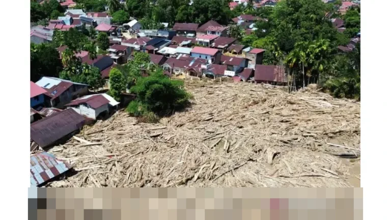 Kemenhut Catat Potensi Rehabilitasi Bencana Capai 49.197 Hektare, Terluas di Sumatera Utara Kemenhut Catat Potensi Rehabilitasi Bencana Capai 49.197 Hektare, Terluas di Sumatera Utara
