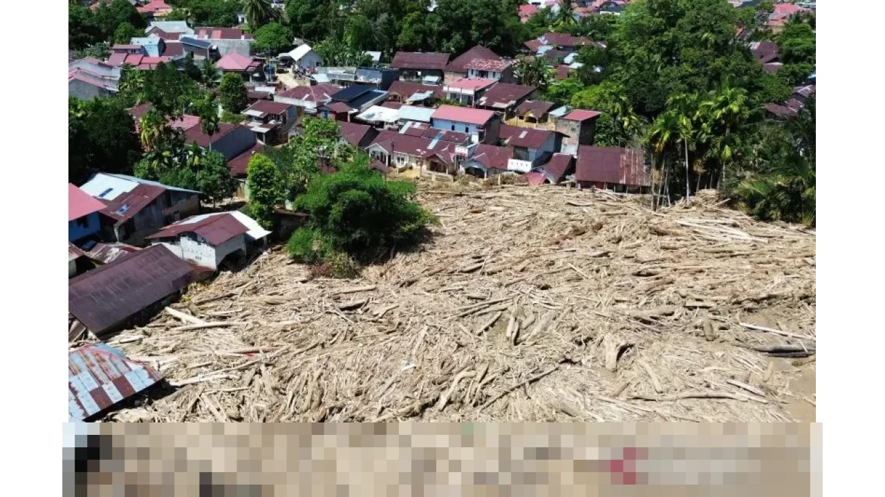 Kemenhut Catat Potensi Rehabilitasi Bencana Capai 49.197 Hektare, Terluas di Sumatera Utara