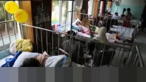 Kemenkes Catat 139 Ribu Kasus DBD Nasional, Kalimantan Utara Perkuat Vaksinasi untuk Anak Sekolah