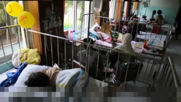 Kemenkes Catat 139 Ribu Kasus DBD Nasional, Kalimantan Utara Perkuat Vaksinasi untuk Anak Sekolah