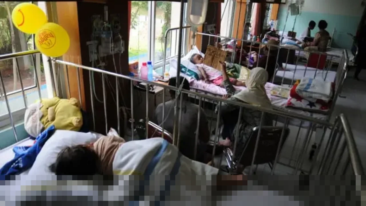 Kemenkes Catat 139 Ribu Kasus DBD Nasional, Kalimantan Utara Perkuat Vaksinasi untuk Anak Sekolah