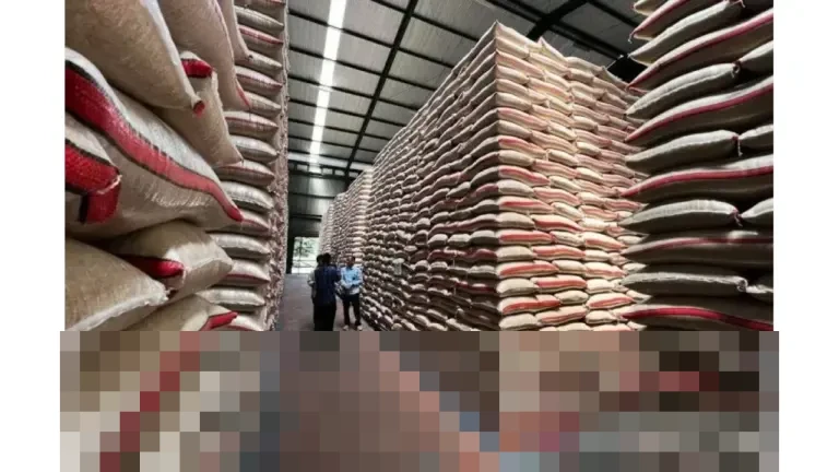 Kemenko Pangan Pastikan Stop Impor Beras dan Gula Konsumsi Mulai 2026, Klaim Stok Aman