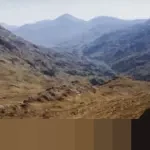 Kementan dan Polri Amankan 133,5 Ton Bawang Bombai Ilegal di Semarang, Diduga Berbakteri