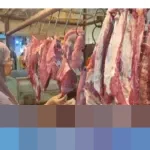 Kementan Pastikan Pasokan dan Harga Daging Sapi Stabil Jelang Ramadhan dan Idul Fitri 2026, Masyarakat Tak Perlu Khawatir