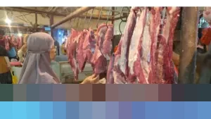 Kementan Pastikan Pasokan dan Harga Daging Sapi Stabil Jelang Ramadhan dan Idul Fitri 2026, Masyarakat Tak Perlu Khawatir
