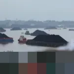 Kementerian ESDM Pastikan Bea Keluar Batu Bara Belum Berlaku Awal 2026, Aturan Masih Digodok