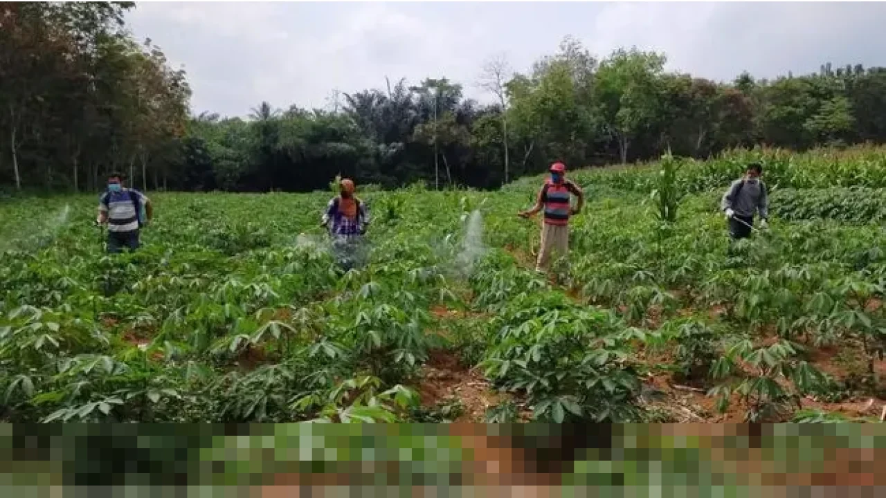 Kementerian Investasi: Indonesia Siapkan Jurus Hilirisasi Pangan Pikat Investor Global di WEF Davos