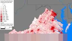 Kepadatan Lalu Lintas Hantui Jalan Raya Sawangan Depok, Warga Keluhkan Mobilitas Terhambat