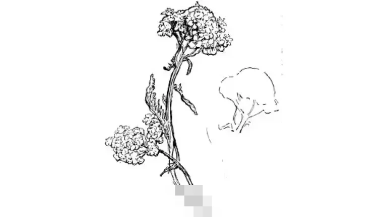 Kepala BKD Banten: “Pegawai Harus Tingkatkan Disiplin,” 26 PNS-PPPK Disanksi di 2025 Kepala BKD Banten: “Pegawai Harus Tingkatkan Disiplin,” 26 PNS-PPPK Disanksi di 2025