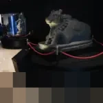 Kepala Museum Nasional Jelaskan Kenaikan Tiket Jadi Rp50.000: Demi Perawatan Koleksi Standar Internasional