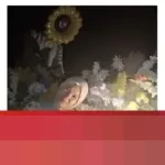 Ketika Algoritma Mendikte Standar Hidup: Ancaman bagi Kebebasan Memaknai Diri