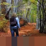 Kiat Ahli untuk Kesehatan Mental Optimal: Jaga Pikiran Tetap Segar di Tahun 2026