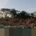 KKP: 30.000 Hektare Tambak Budidaya di Aceh Rusak Akibat Banjir, Puluhan Ribu Pembudidaya Merugi