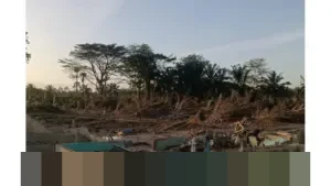 KKP: 30.000 Hektare Tambak Budidaya di Aceh Rusak Akibat Banjir, Puluhan Ribu Pembudidaya Merugi