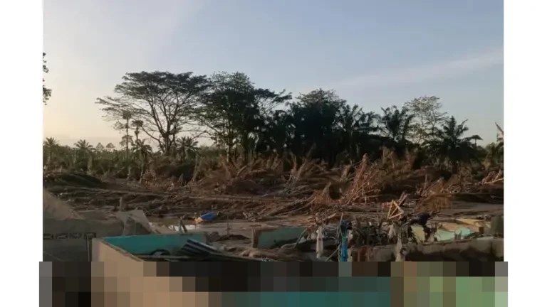 KKP: 30.000 Hektare Tambak Budidaya di Aceh Rusak Akibat Banjir, Puluhan Ribu Pembudidaya Merugi