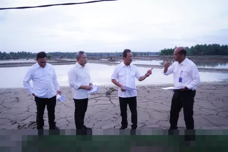 KKP: 30 Ribu Hektare Tambak Budidaya di Aceh Rusak Parah Akibat Banjir, Kerugian Capai Puluhan Ribu Pembudidaya