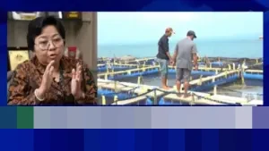 KKP Selesaikan Isu Cesium-137, Ekspor Udang RI ke AS Kembali Dibuka Senilai Rp 3,6 Triliun