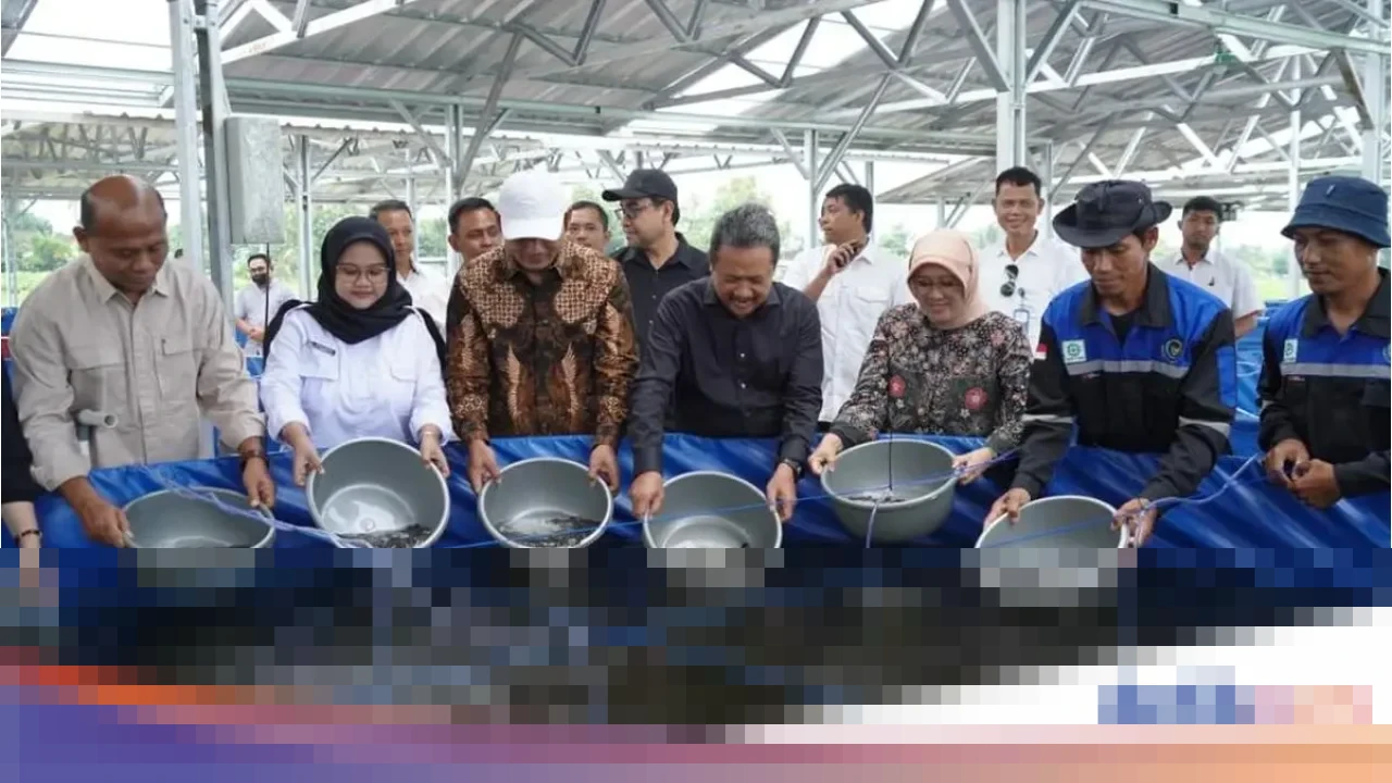 KKP Targetkan Boyolali Jadi Pusat Lele Jawa Tengah, Puluhan Ribu Benih Disebar