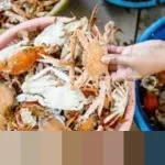 KKP Terbitkan 292 Sertifikat, Pastikan Ekspor Rajungan RI Tetap Diterima Pasar AS