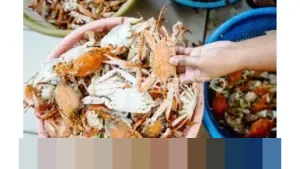 KKP Terbitkan 292 Sertifikat, Pastikan Ekspor Rajungan RI Tetap Diterima Pasar AS