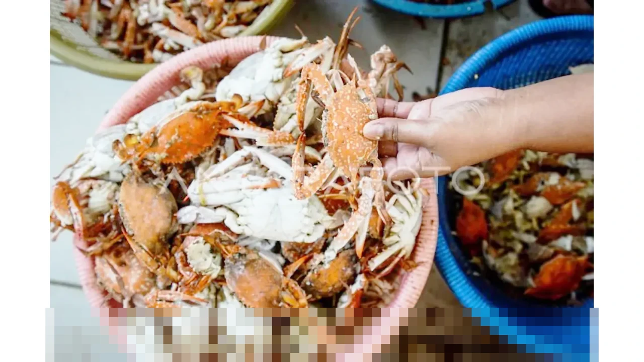 KKP Terbitkan 292 Sertifikat, Pastikan Ekspor Rajungan RI Tetap Diterima Pasar AS