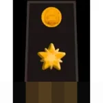 Kompol Dhanar: “Pelayanan Ini Tugas Rutin Kami,” Usai Bantu Mobil Pecah Ban di Contraflow Tol Dalam Kota