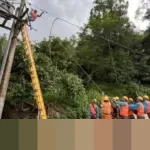 Konsumsi Listrik per Kapita Indonesia Melonjak Jadi 1.584 kWh pada 2025, Lampaui Target