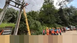 Konsumsi Listrik per Kapita Indonesia Melonjak Jadi 1.584 kWh pada 2025, Lampaui Target