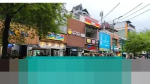 Koperasi Ungkap Kuda Andong Malioboro Jatuh Akibat ‘Nervous’, Bukan Kelelahan