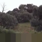 KPK Jerat Lima Tersangka dalam OTT Pajak KPP Madya Jakut, Termasuk Kepala KPP