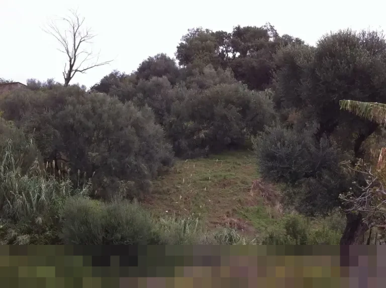 KPK Jerat Lima Tersangka dalam OTT Pajak KPP Madya Jakut, Termasuk Kepala KPP