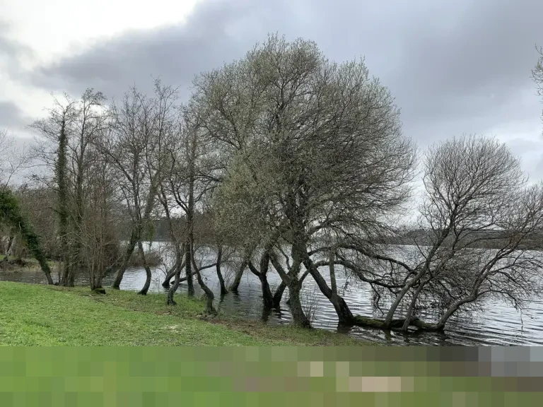 KPK Tetapkan Eks Menteri Agama Yaqut Cholil Qoumas dan Stafsusnya Tersangka Korupsi Haji