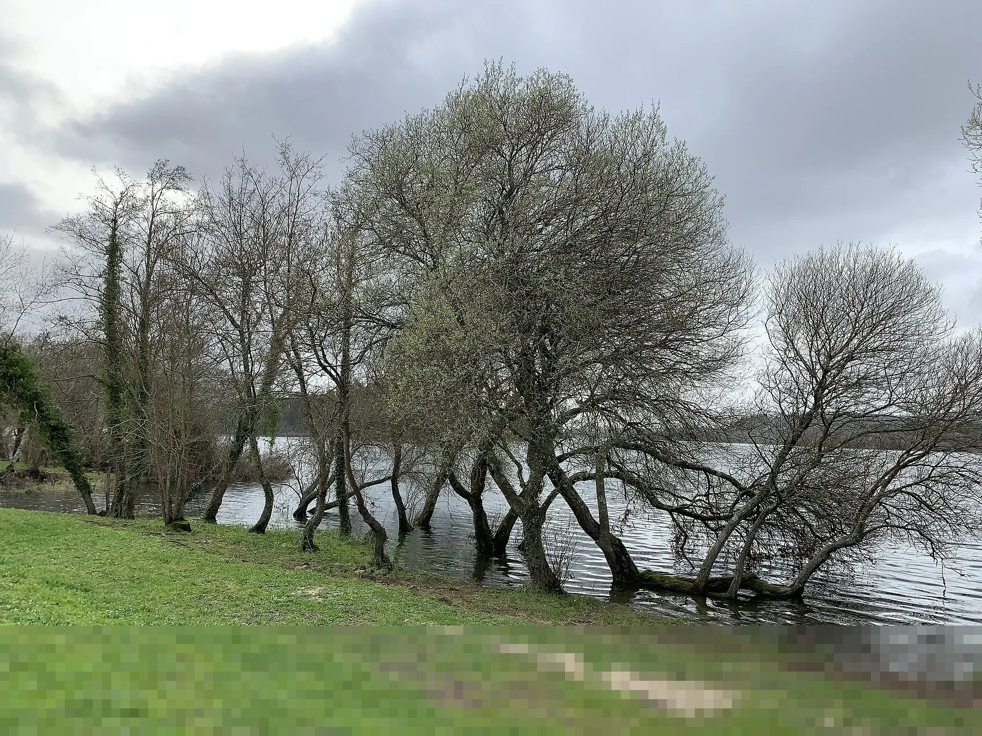 KPK Tetapkan Eks Menteri Agama Yaqut Cholil Qoumas dan Stafsusnya Tersangka Korupsi Haji