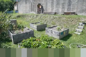 Kunci Jawaban Bahasa Indonesia Kelas 5 Halaman 101: Memahami Tantangan Belajar Daring dan Solusinya dalam Kurikulum Merdeka