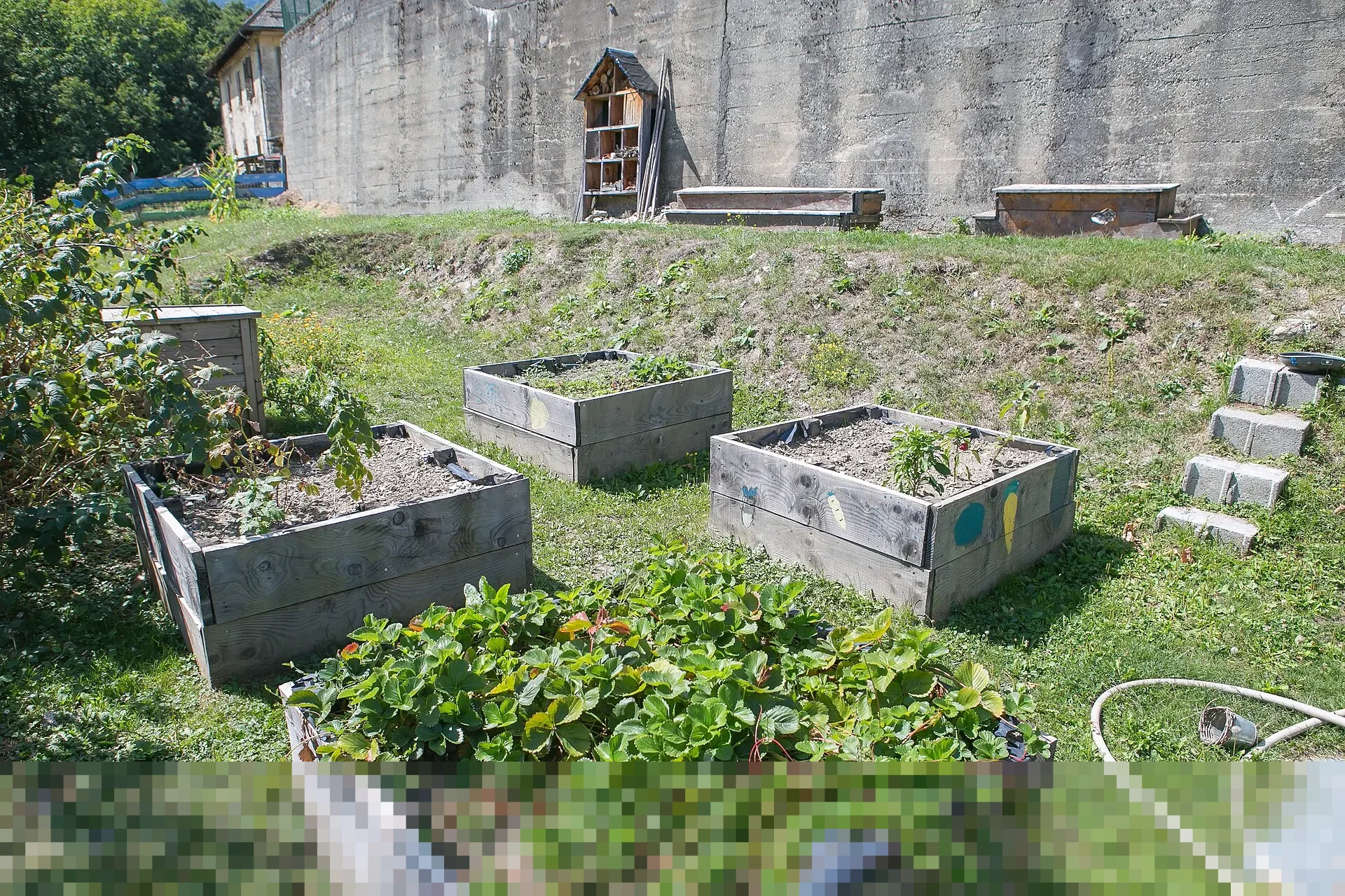 Kunci Jawaban Bahasa Indonesia Kelas 5 Halaman 101: Memahami Tantangan Belajar Daring dan Solusinya dalam Kurikulum Merdeka Kunci Jawaban Bahasa Indonesia Kelas 5 Halaman 101: Memahami Tantangan Belajar Daring dan Solusinya dalam Kurikulum Merdeka